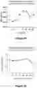 Fig. 03 - Method for enhancing embryo implantation