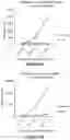 Fig. 04 - Method for enhancing embryo implantation