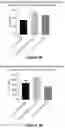 Fig. 06 - Method for enhancing embryo implantation
