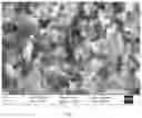 Fig. 06 - Nickel-coated hexagonal boron nitride nanosheet composite powder, preparation and high performance composite ceramic cutting tool material