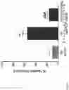 Fig. 08 - Beta-carbolines as positive allosteric modulators of the human serotonin receptor 2C (5-HT)
