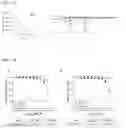 Fig. 08 - Antibody against human DLK1 and use thereof