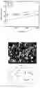 Fig. 02 - Gutta-percha containing carbon nanotubes and preparation method therefor