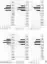 Fig. 07 - SEED-SPECIFIC AND EMBRYO-PREFERENTIAL PROMOTERS AND USES THEREOF