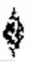 Fig. 02 - SYNTHETIC GENES