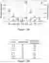 Fig. 22 - Denaturation-enhanced DNA mutation testing for limited biological specimens
