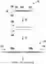 Fig. 01 - Method of amplifying and determining target nucleotide sequence