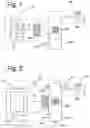 Fig. 02 - THERMOHYDRAULIC AND BIOLOGIC MODEL-BASED CONTROL