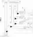 Fig. 06 - Apparatus for delivering circulating water and system for delivering circulating water including the same