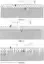 Fig. 02 - METHOD FOR PREPARING OPTICAL METASURFACES