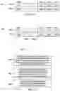 Fig. 08 - Vector floating-point classification