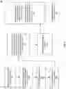 Fig. 04 - Inferring logical clauses for answering complex multi-hop open domain questions