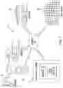 Fig. 02 - TOKENIZATION OF CONTACTLESS CARDS