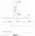 Fig. 08 - Offload Processing of Data Packets Containing Financial Market Data