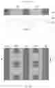 Fig. 09 - Semiconductor devices with memory cells