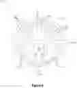 Fig. 07 - FOODSTUFF CONTAINER AND AGITATOR