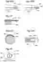 Fig. 09 - ENDOSCOPIC VESSEL HARVESTING SYSTEM COMPONENTS