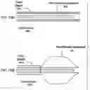 Fig. 20 - Methods and systems for optical imaging or epithelial luminal organs by beam scanning thereof