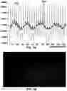 Fig. 06 - Methods and systems for obtaining physiologic information
