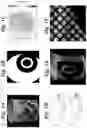 Fig. 02 - Synthetically trained neural network for MRI tag tracking