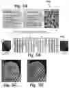 Fig. 06 - Synthetically trained neural network for MRI tag tracking