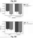 Fig. 09 - Synthetically trained neural network for MRI tag tracking