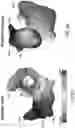 Fig. 08 - Systems and methods for noninvasive spectral-spatiotemporal imaging of cardiac electrical activity