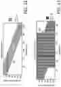 Fig. 09 - Ultrasonic imaging by sparse sampling and associated devices, systems, and methods
