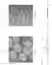 Fig. 08 - Packaging for surgical implant