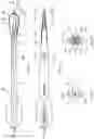 Fig. 02 - Surgical instruments