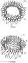 Fig. 09 - Replacement mitral valves
