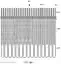 Fig. 22 - Replacement mitral valves
