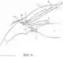 Fig. 07 - System and method for clearing an obstruction from the path of a surgical laser