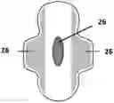 Fig. 01 - ABSORBENT ARTICLE
