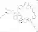 Fig. 366 - Rapamycin analogs and uses thereof