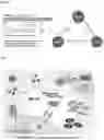 Fig. 06 - METHODS FOR TREATING AND REDUCING TRAUMATIC BRAIN INJURY- ASSOCIATED IMPAIRMENTS USING SGP130