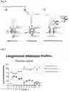 Fig. 07 - METHODS FOR TREATING AND REDUCING TRAUMATIC BRAIN INJURY- ASSOCIATED IMPAIRMENTS USING SGP130