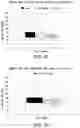 Fig. 30 - METHODS FOR TREATING AND REDUCING TRAUMATIC BRAIN INJURY- ASSOCIATED IMPAIRMENTS USING SGP130