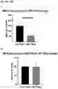 Fig. 35 - METHODS FOR TREATING AND REDUCING TRAUMATIC BRAIN INJURY- ASSOCIATED IMPAIRMENTS USING SGP130
