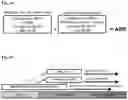 Fig. 37 - METHODS FOR TREATING AND REDUCING TRAUMATIC BRAIN INJURY- ASSOCIATED IMPAIRMENTS USING SGP130