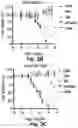 Fig. 06 - MITOCHONDRIAL COPPER DEPLETION REPROGRAMS THE METABOLISM OF TRIPLE NEGATIVE BREAST CANCER