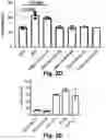 Fig. 07 - MITOCHONDRIAL COPPER DEPLETION REPROGRAMS THE METABOLISM OF TRIPLE NEGATIVE BREAST CANCER
