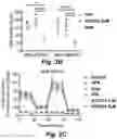 Fig. 09 - MITOCHONDRIAL COPPER DEPLETION REPROGRAMS THE METABOLISM OF TRIPLE NEGATIVE BREAST CANCER