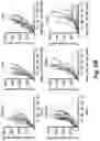 Fig. 22 - MITOCHONDRIAL COPPER DEPLETION REPROGRAMS THE METABOLISM OF TRIPLE NEGATIVE BREAST CANCER