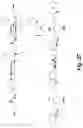 Fig. 46 - MITOCHONDRIAL COPPER DEPLETION REPROGRAMS THE METABOLISM OF TRIPLE NEGATIVE BREAST CANCER