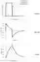 Fig. 19 - Clinical decision support system for patient-ventilator asynchrony detection and management