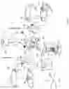 Fig. 02 - TRANSFORMABLE TOY