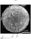 Fig. 02 - Methods for nanofunctionalization of powders, and nanofunctionalized materials produced therefrom