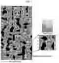 Fig. 02 - POLYIMIDE OR POLY(AMIDE-IMIDE) FILM, DISPLAY DEVICE INCLUDING SAME, AND METHOD FOR PREPARING SAME