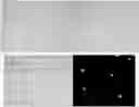 Fig. 01 - Polyolefin Compositions